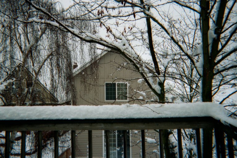 I took this picture from a friend's deck, but it isn't really a snowdrift. (Yes, Seattle gets snow sometimes.)