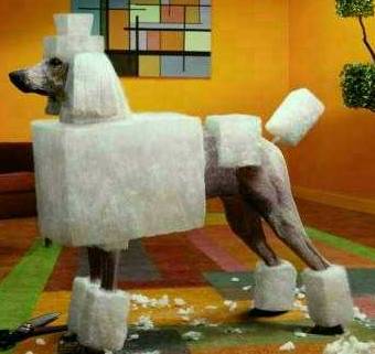 square-poodle.jpg