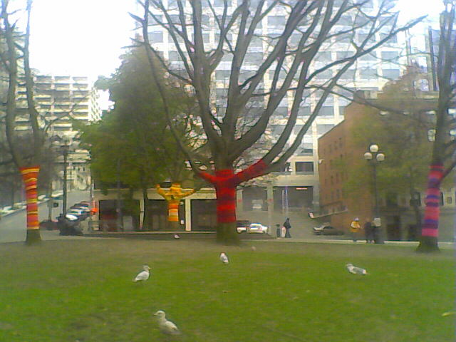 Seattle's Pioneer Square treats their trees better than the homeless