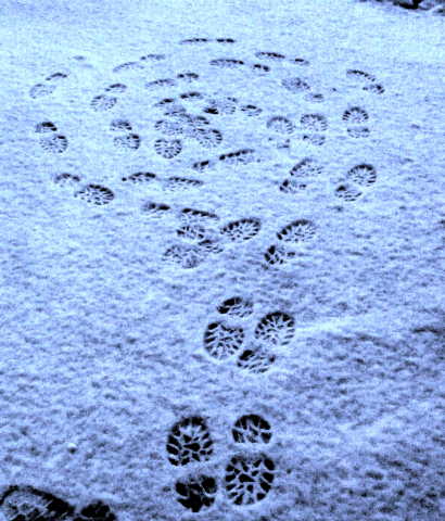 Snowprint art, 21 February 2010, rural UK