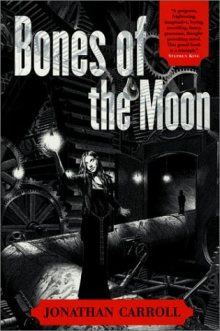 The photo shows one of the book's covers.